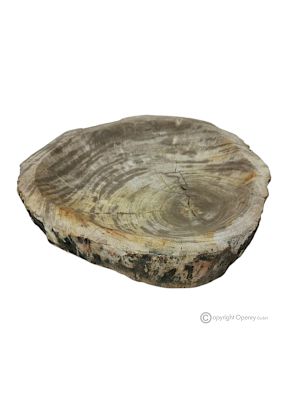 CENTERPIECE in authentic petrified wood elegant, modern design, handmade.
