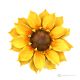 SUNFLOWER – Hanging flower in Capodimonte porcelain, handmade, high quality